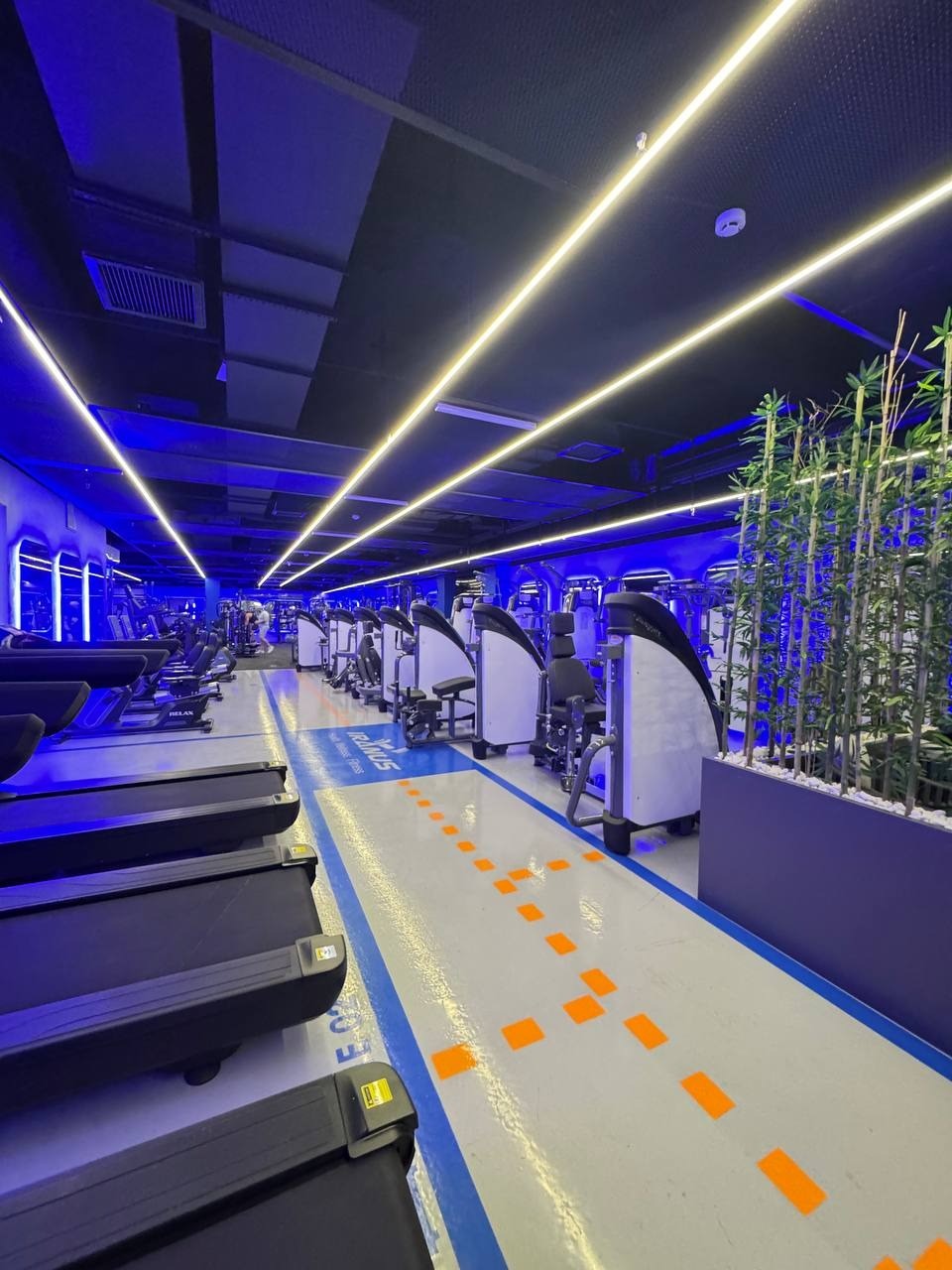 مجموعه بدنسازی و آبی ایرانوس (آقایان)