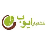 خشکبار ایوب (ستارخان)