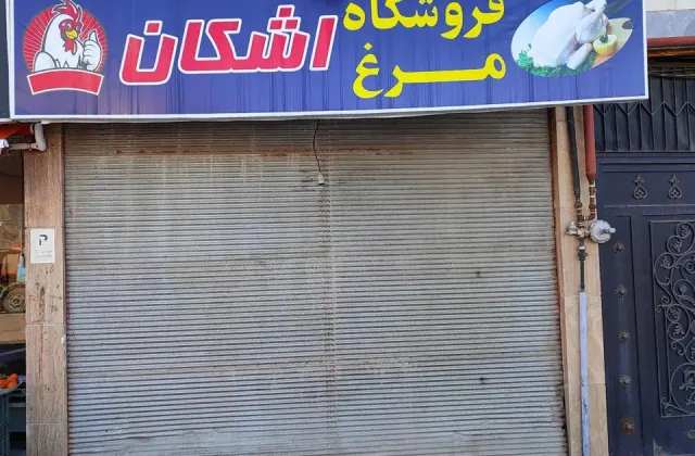 فروشگاه مرغ اشکان