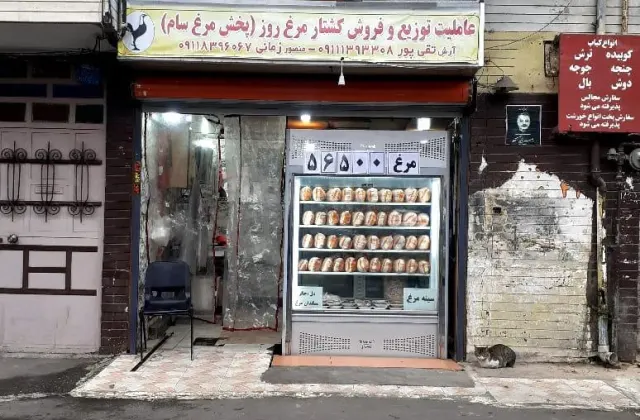 پخش مرغ سام