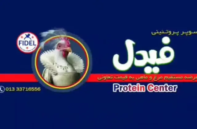 پروتئینی فیدل