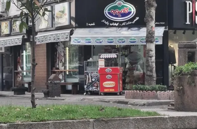 محصولات پروتئینی کامپوره