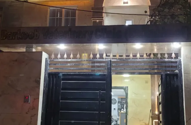 کلینیک و پت شاپ دارکوب