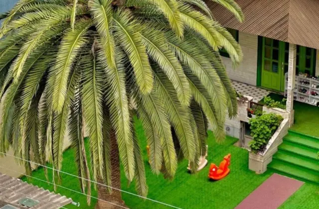 مهد کودک و پیش دبستانی بلوط