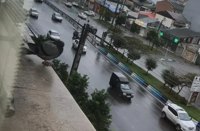 املاک مهندس مهرورز