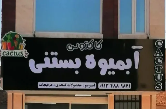 آبمیوه بستنی کاکتوس