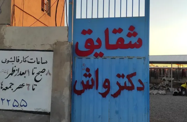 قالیشویی شقایق