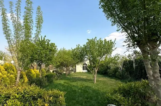 آتلیه عکس چشمان آبی