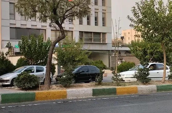 شرکت خدمات بیمه ای دیزان آسو ، بیمه ایران