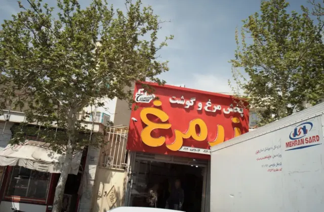 پخش مرغ و گوشت زر مرغ