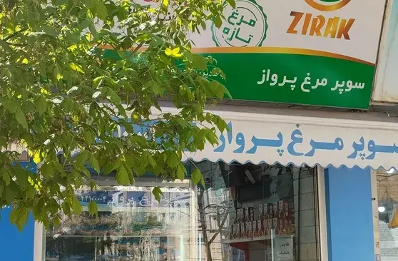 گوشت و مرغ پرواز