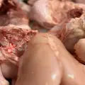 مرغ و ماهی ساسان