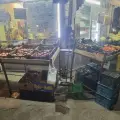 پروتیینی مرغکده ۱۳ آبان