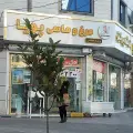 پروتئین مرغ و ماهی پویا