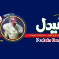 پروتئینی فیدل