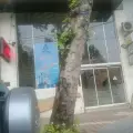 آزمایشگاه ملت