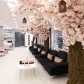 سالن زیبایی سپیدار