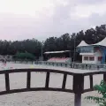 باشگاه سوارکاری غزالی