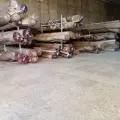 قالیشویی رسالت قم