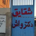 قالیشویی شقایق