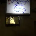 دفتر ازدواج ۲۴ و طلاق ۸