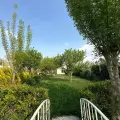 آتلیه عکس چشمان آبی