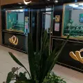 طلای عاج