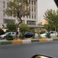 شرکت خدمات بیمه ای دیزان آسو ، بیمه ایران