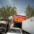 پخش مرغ و گوشت زر مرغ